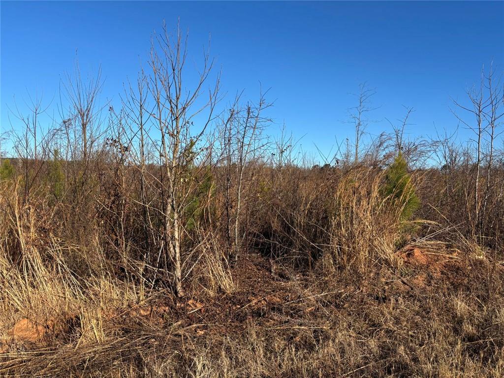 0 State Route Monroe, GA 30655 - Photo 3 of 9 a view of a yard