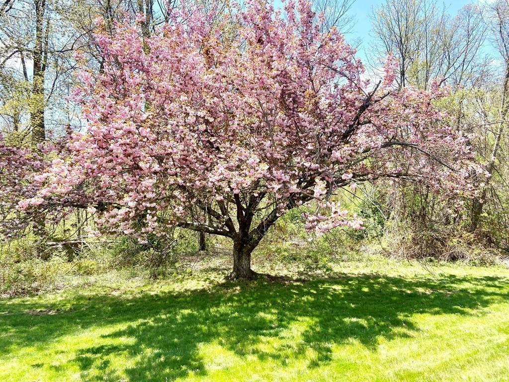25 Burbank Road Sutton, MA 01590 - Photo 31 of 35