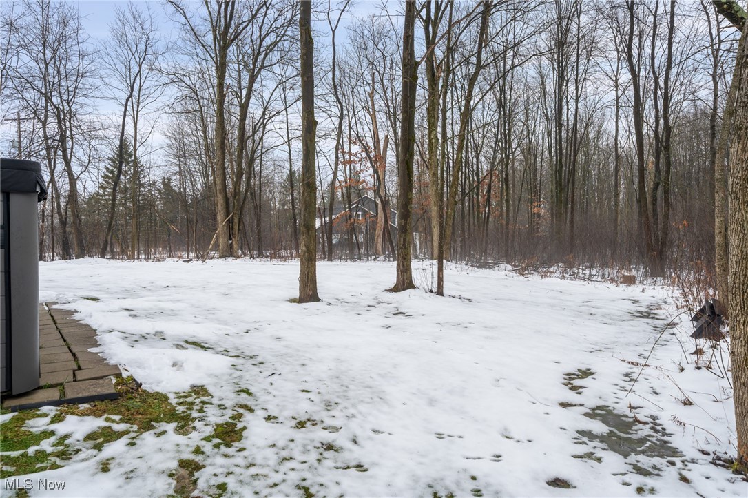 39600 Aurora Road Solon, OH 44139 - Photo 40 of 49 Snowy yard featuring a wooded view