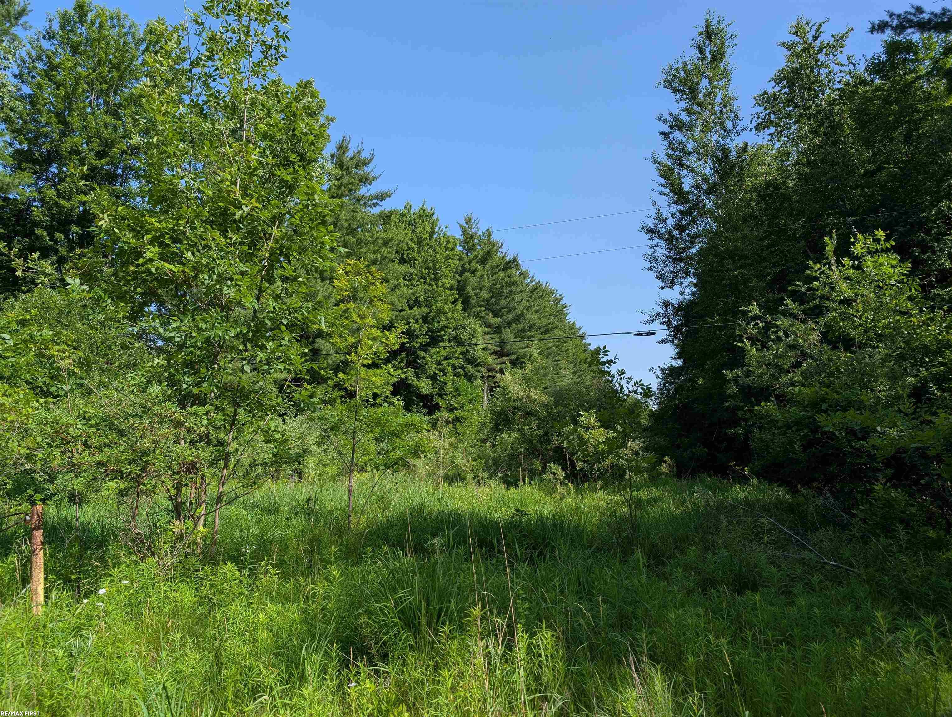 0 Burns Line Road Croswell, MI 48422 - Photo 2 of 5