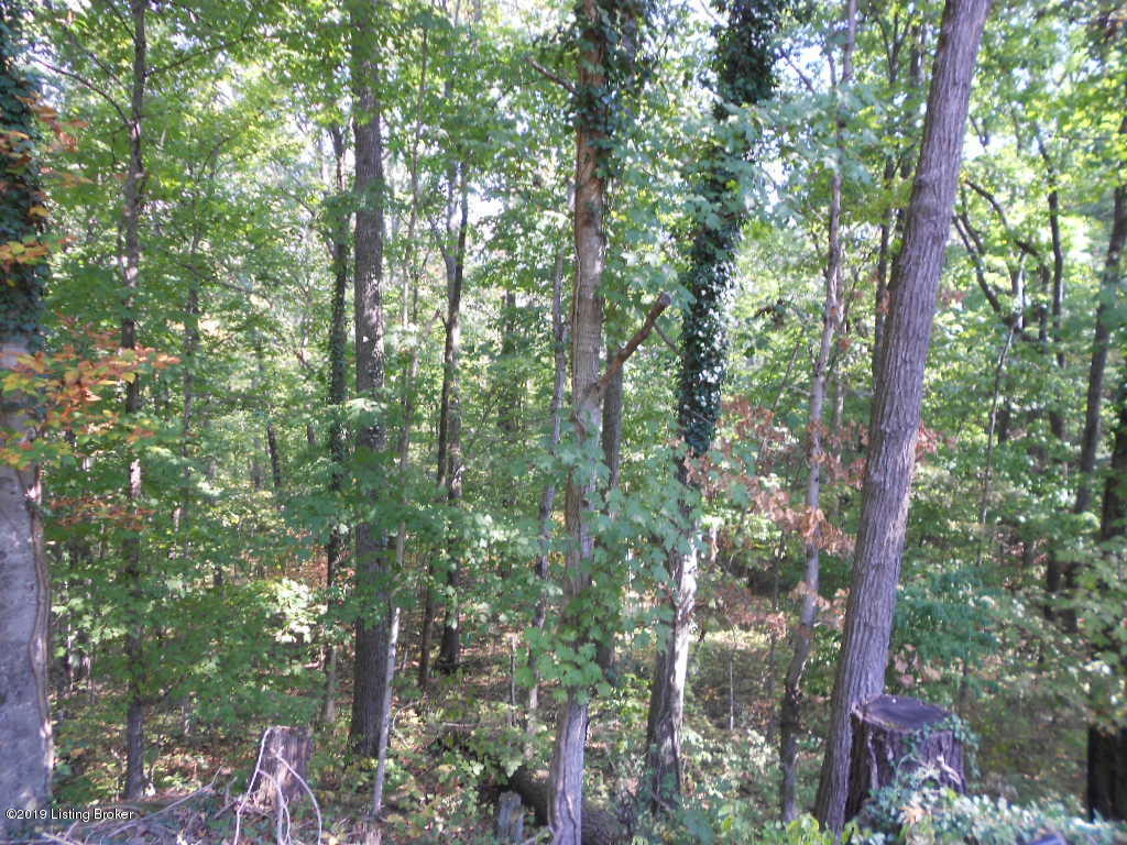 6604 Springfield Road Bardstown, KY 40004 - Photo 28 of 29 DSCN3877