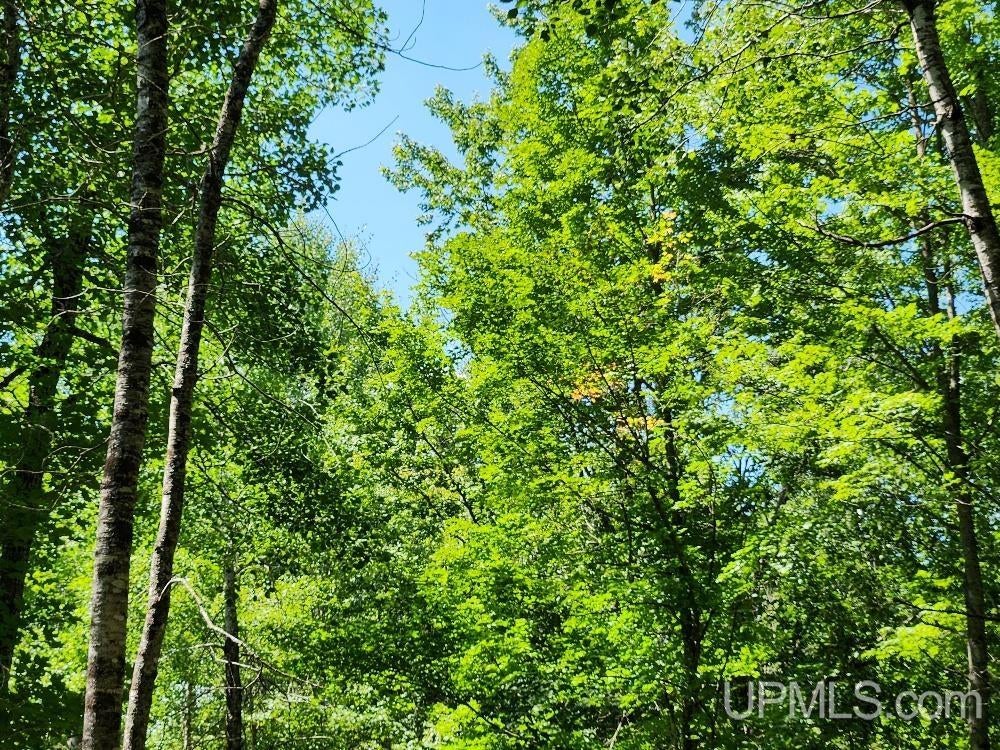2.63-acres Sheltrow Road, Unit LOT 6PAINT RIVER HIGHLAN Crystal Falls, MI 49920 - Photo 15 of 53 Gallery Image 15