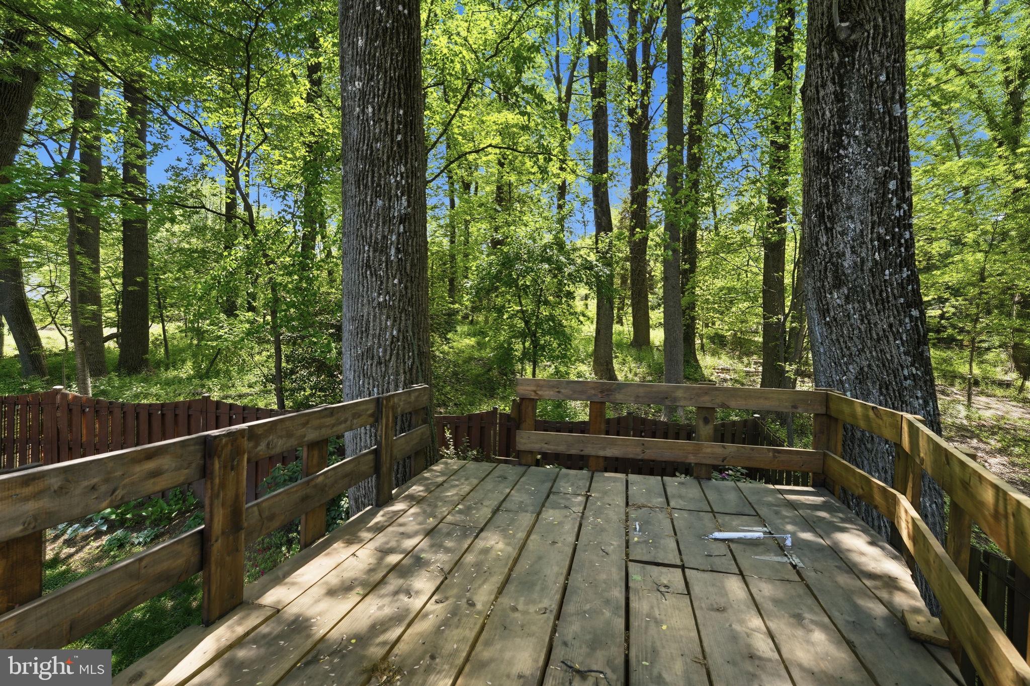 1731 Key W Lane Vienna, VA 22182 - Photo 38 of 67