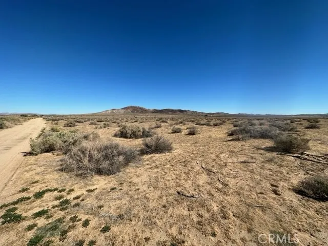 0 Anson Hinkley, CA 92347 - Photo 2 of 6