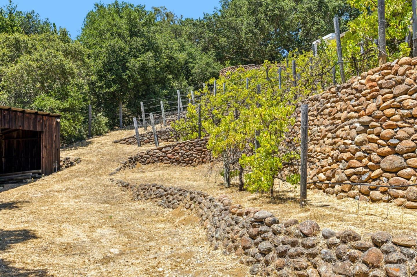 11270 Page Mill Road Los Altos Hills, CA 94022 - Photo 58 of 62