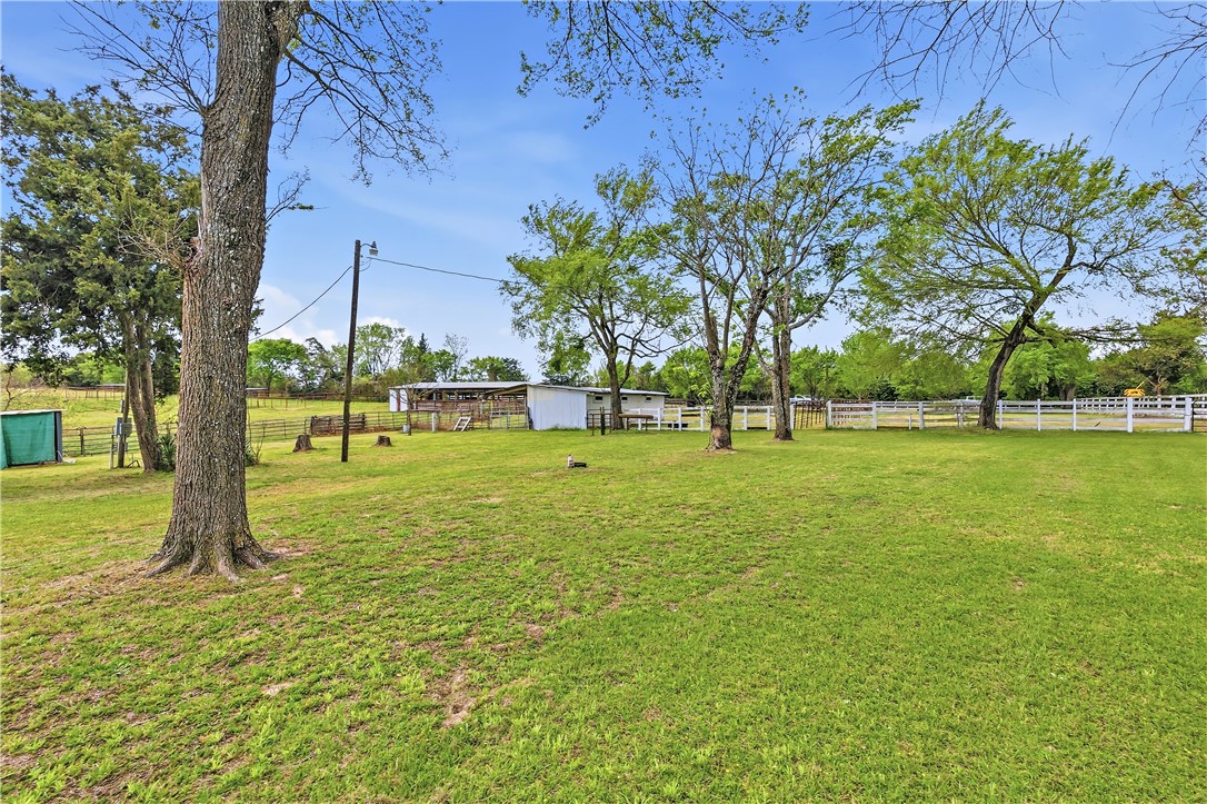 10084 Fm 831 Buffalo, TX 75831 - Photo 4 of 50 a view of a park with a tree