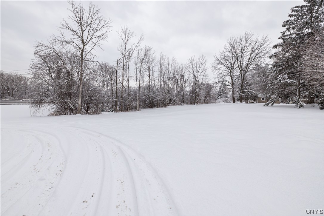 6868 Towpath Road DeWitt, NY 13214 - Photo 30 of 30