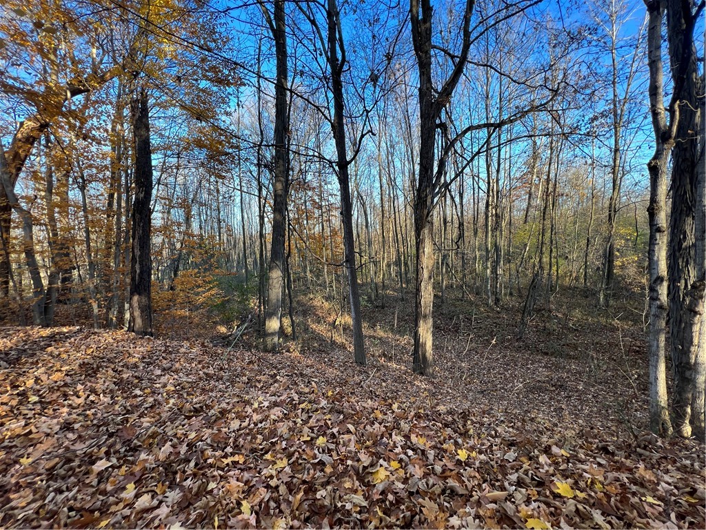 0 Wheeler Station Road Bloomfield, NY 14469 - Photo 11 of 27