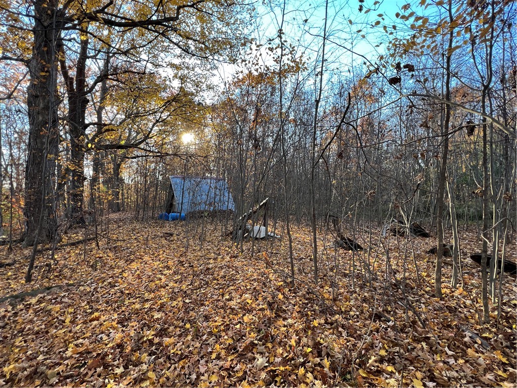 0 Wheeler Station Road Bloomfield, NY 14469 - Photo 12 of 27