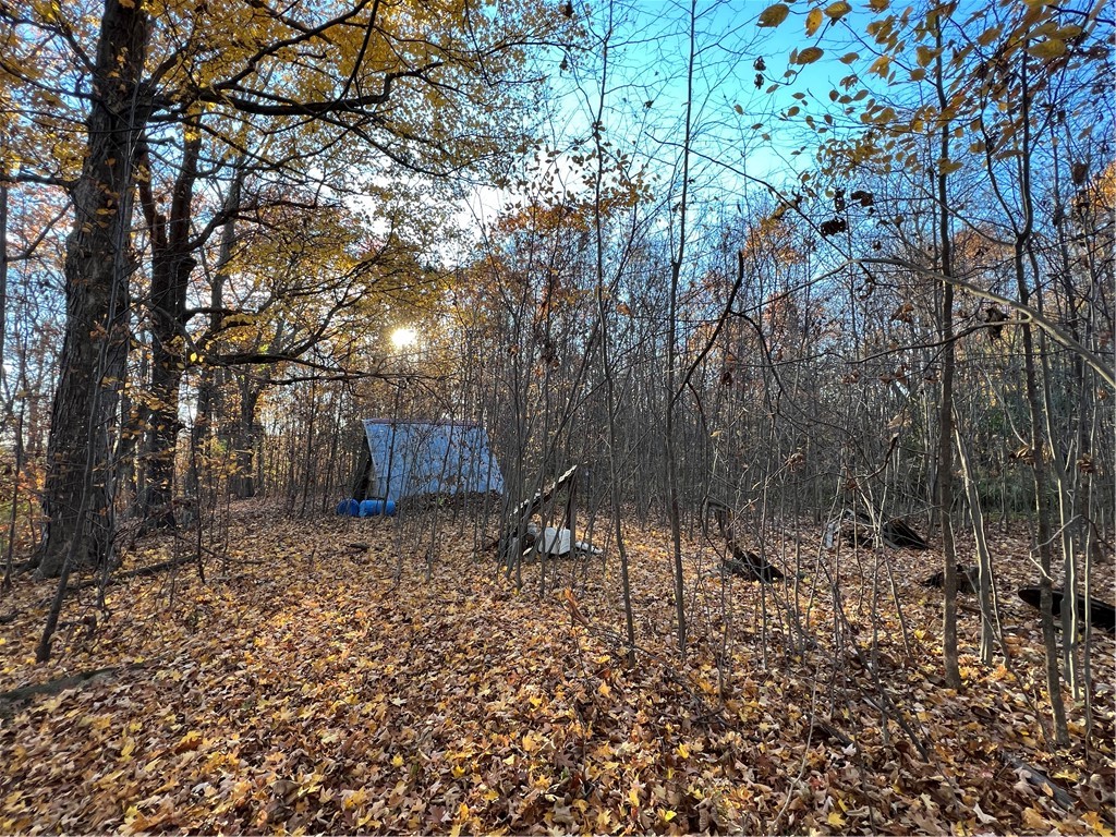 0 Wheeler Station Road Bloomfield, NY 14469 - Photo 13 of 27