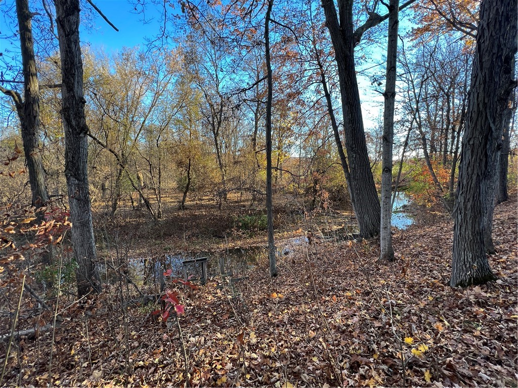 0 Wheeler Station Road Bloomfield, NY 14469 - Photo 14 of 27