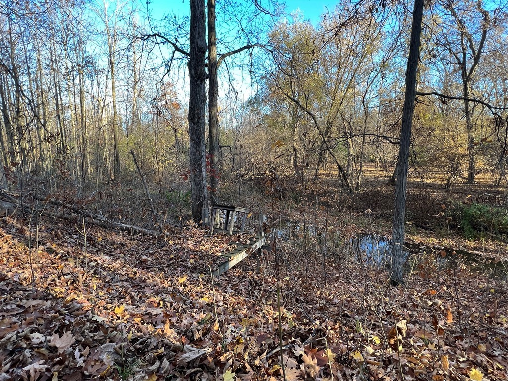 0 Wheeler Station Road Bloomfield, NY 14469 - Photo 15 of 27