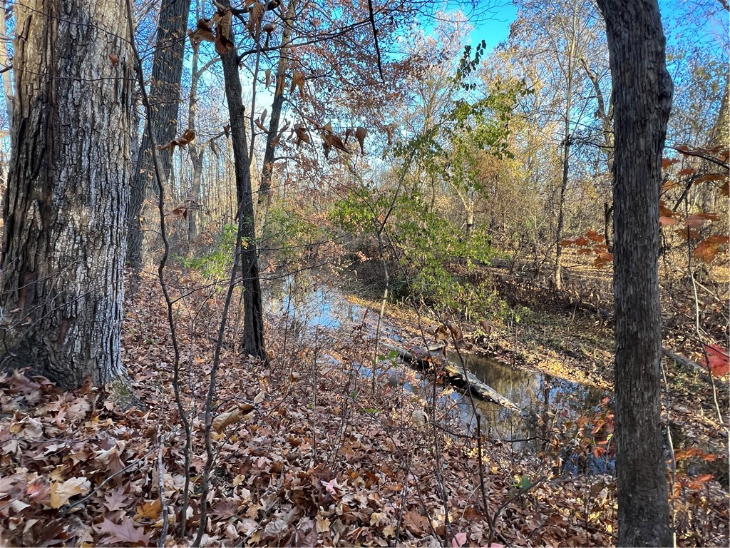 0 Wheeler Station Road Bloomfield, NY 14469 - Photo 17 of 27