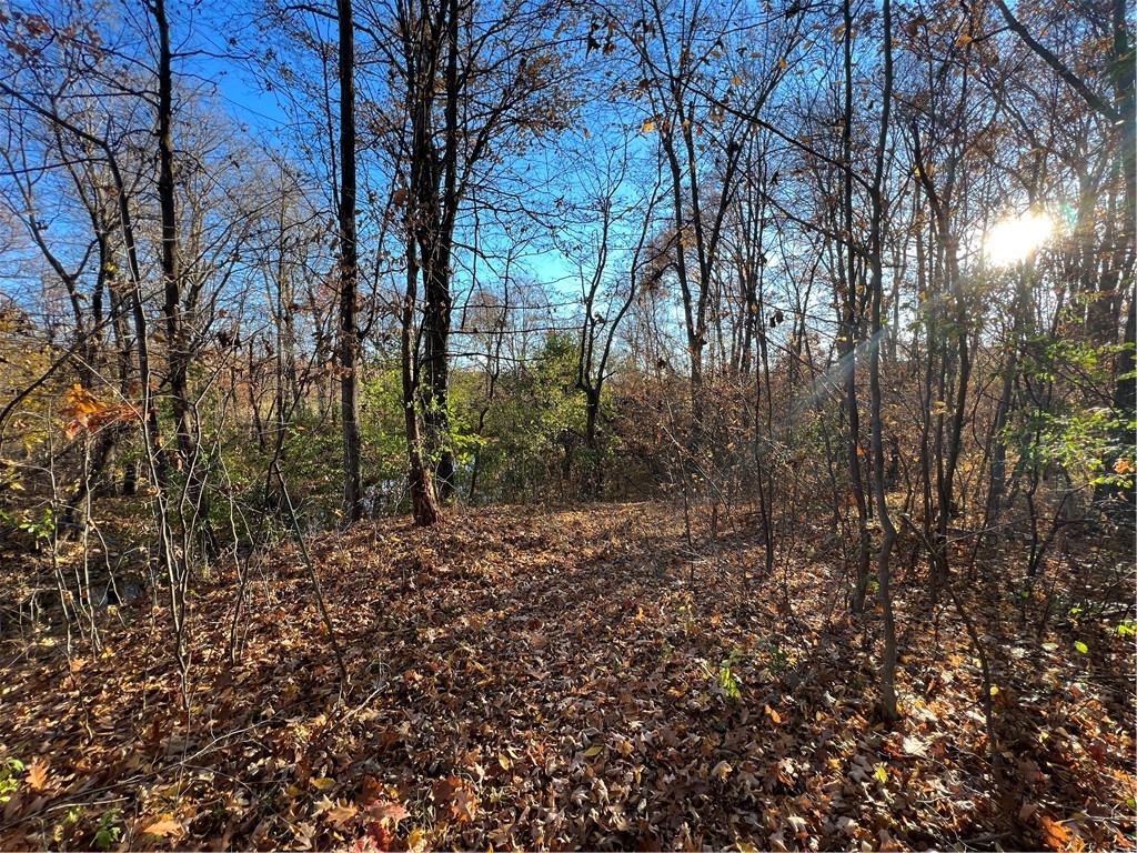 0 Wheeler Station Road Bloomfield, NY 14469 - Photo 19 of 27