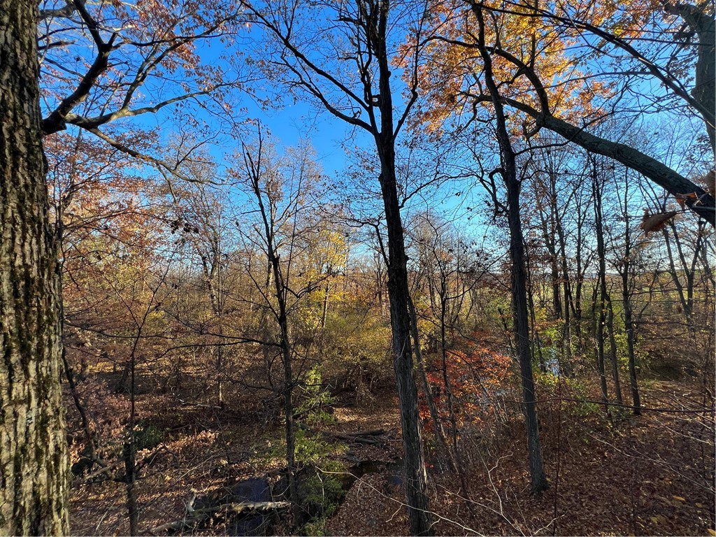 0 Wheeler Station Road Bloomfield, NY 14469 - Photo 20 of 27