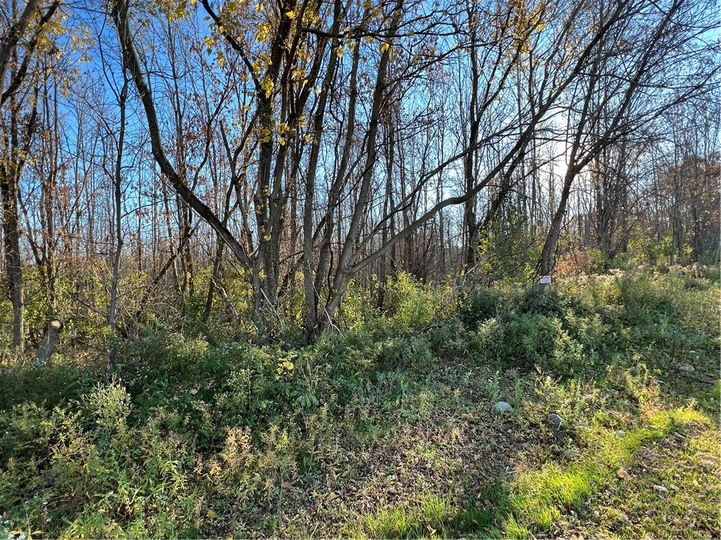 0 Wheeler Station Road Bloomfield, NY 14469 - Photo 2 of 27