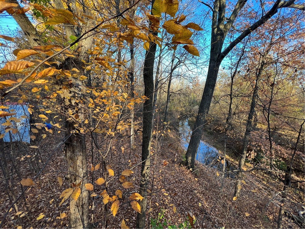 0 Wheeler Station Road Bloomfield, NY 14469 - Photo 21 of 27