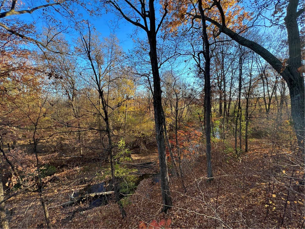 0 Wheeler Station Road Bloomfield, NY 14469 - Photo 22 of 27