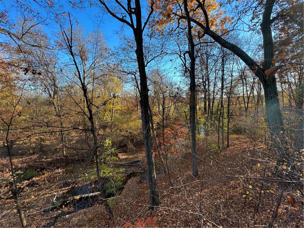 0 Wheeler Station Road Bloomfield, NY 14469 - Photo 23 of 27