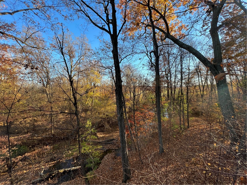 0 Wheeler Station Road Bloomfield, NY 14469 - Photo 24 of 27