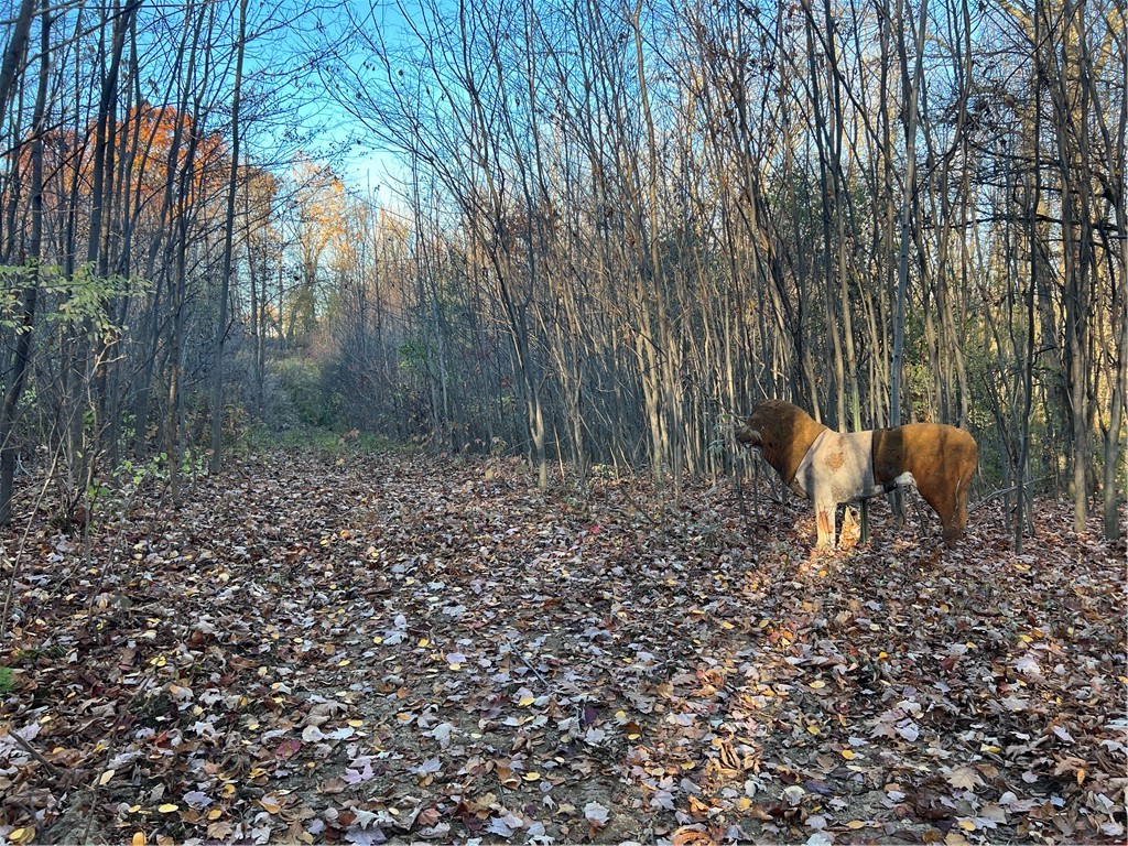0 Wheeler Station Road Bloomfield, NY 14469 - Photo 26 of 27
