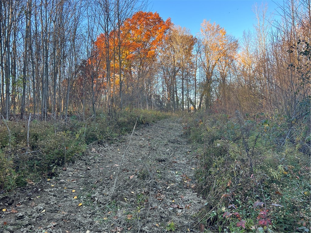 0 Wheeler Station Road Bloomfield, NY 14469 - Photo 27 of 27