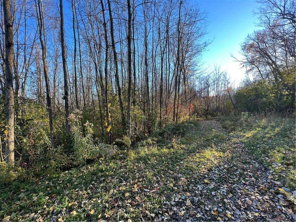 0 Wheeler Station Road Bloomfield, NY 14469 - Photo 3 of 27