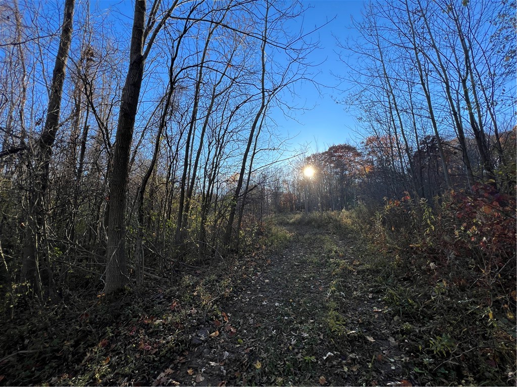 0 Wheeler Station Road Bloomfield, NY 14469 - Photo 5 of 27