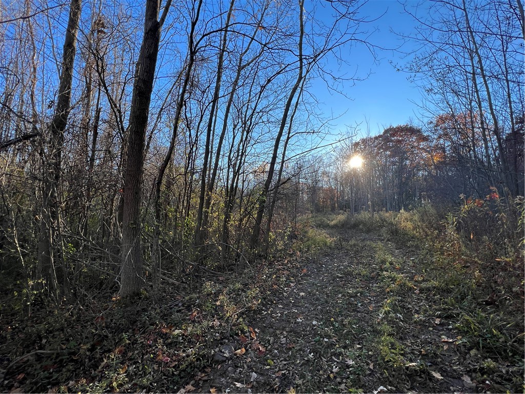 0 Wheeler Station Road Bloomfield, NY 14469 - Photo 6 of 27