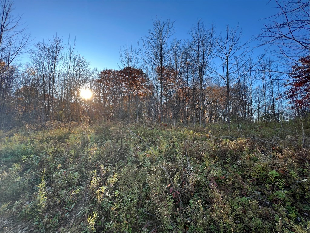 0 Wheeler Station Road Bloomfield, NY 14469 - Photo 7 of 27