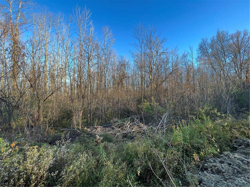 0 Wheeler Station Road Bloomfield, NY 14469 - Photo 8 of 27