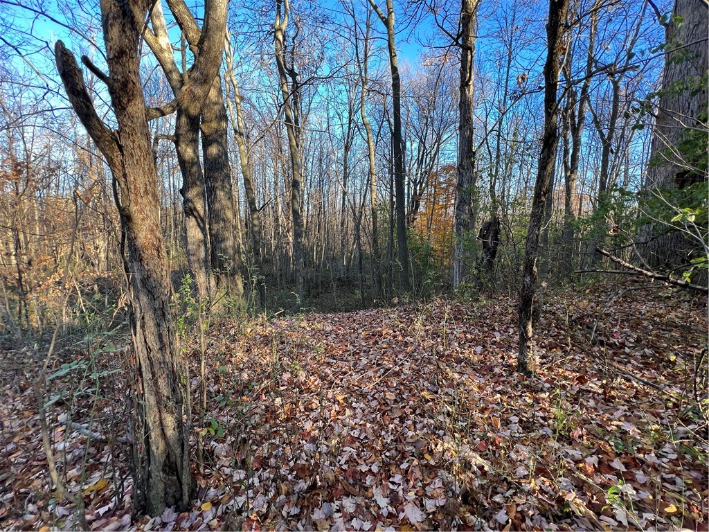 0 Wheeler Station Road Bloomfield, NY 14469 - Photo 9 of 27