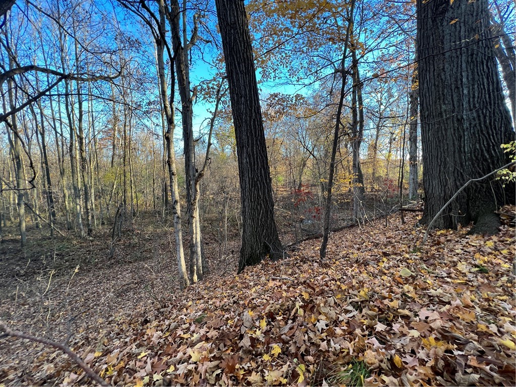 0 Wheeler Station Road Bloomfield, NY 14469 - Photo 10 of 27