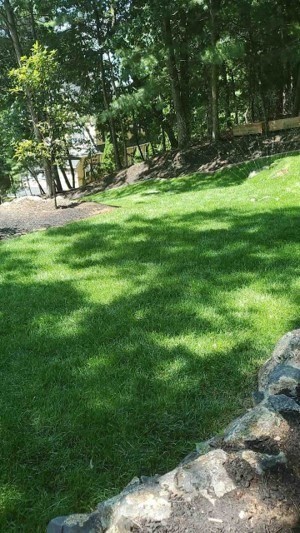 749 Worcester Street Wellesley, MA 02481 - Photo 16 of 17 a view of green field with trees in the background