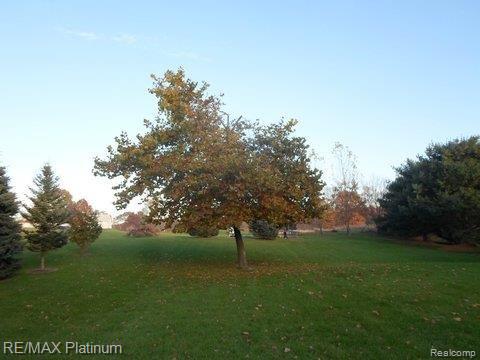 4907 Pingree Road Howell, MI 48843 - Photo 8 of 23 Mature Trees.jpg