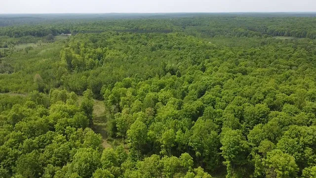 $84,628 | 70 Hwy Tipler Wi 54542, Unit 2, Long Lake, WI 54542