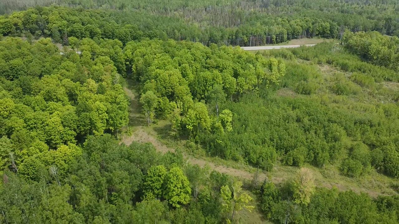 70 Hwy Tipler Wi 54542, Unit 2 Long Lake, WI 54542 - Photo 11 of 26