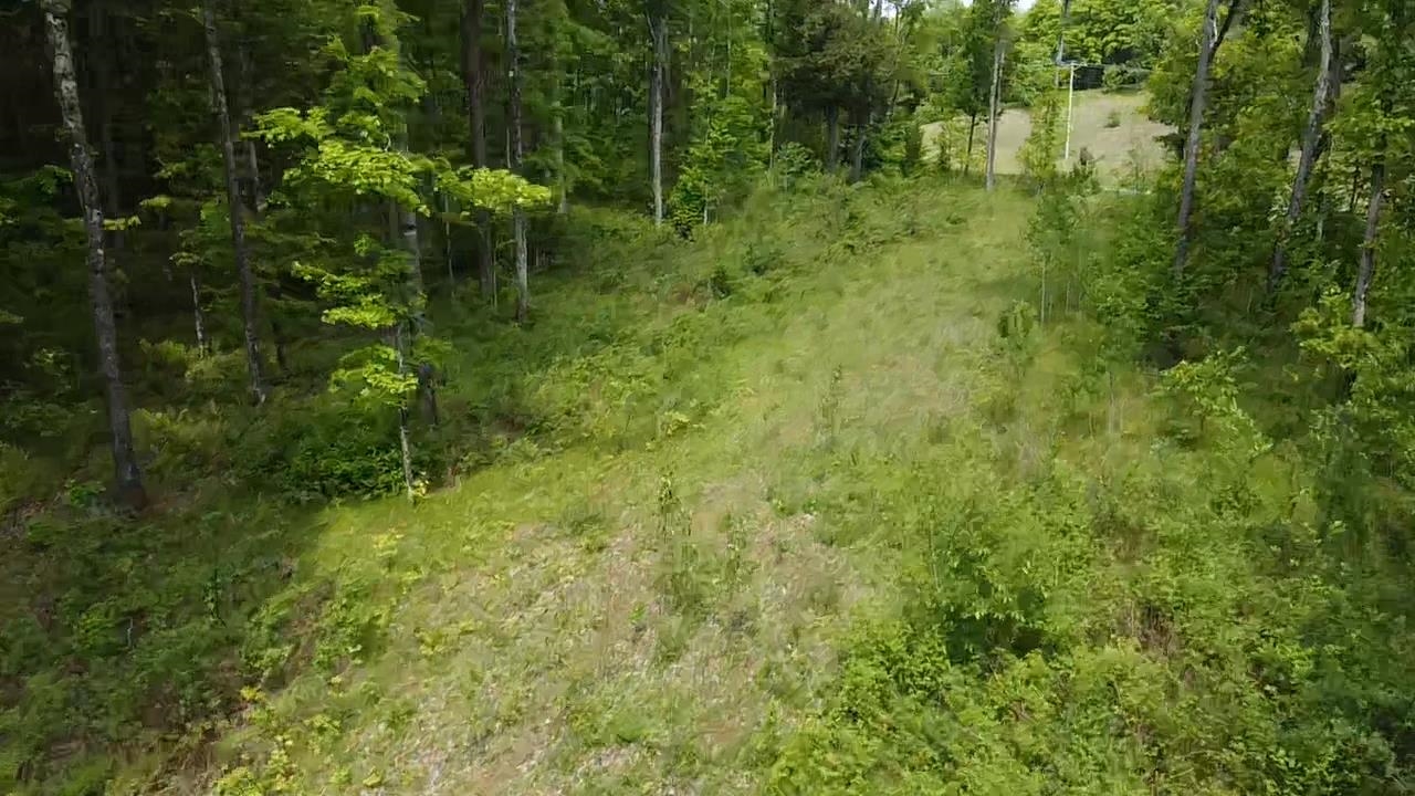 70 Hwy Tipler Wi 54542, Unit 2 Long Lake, WI 54542 - Photo 12 of 26