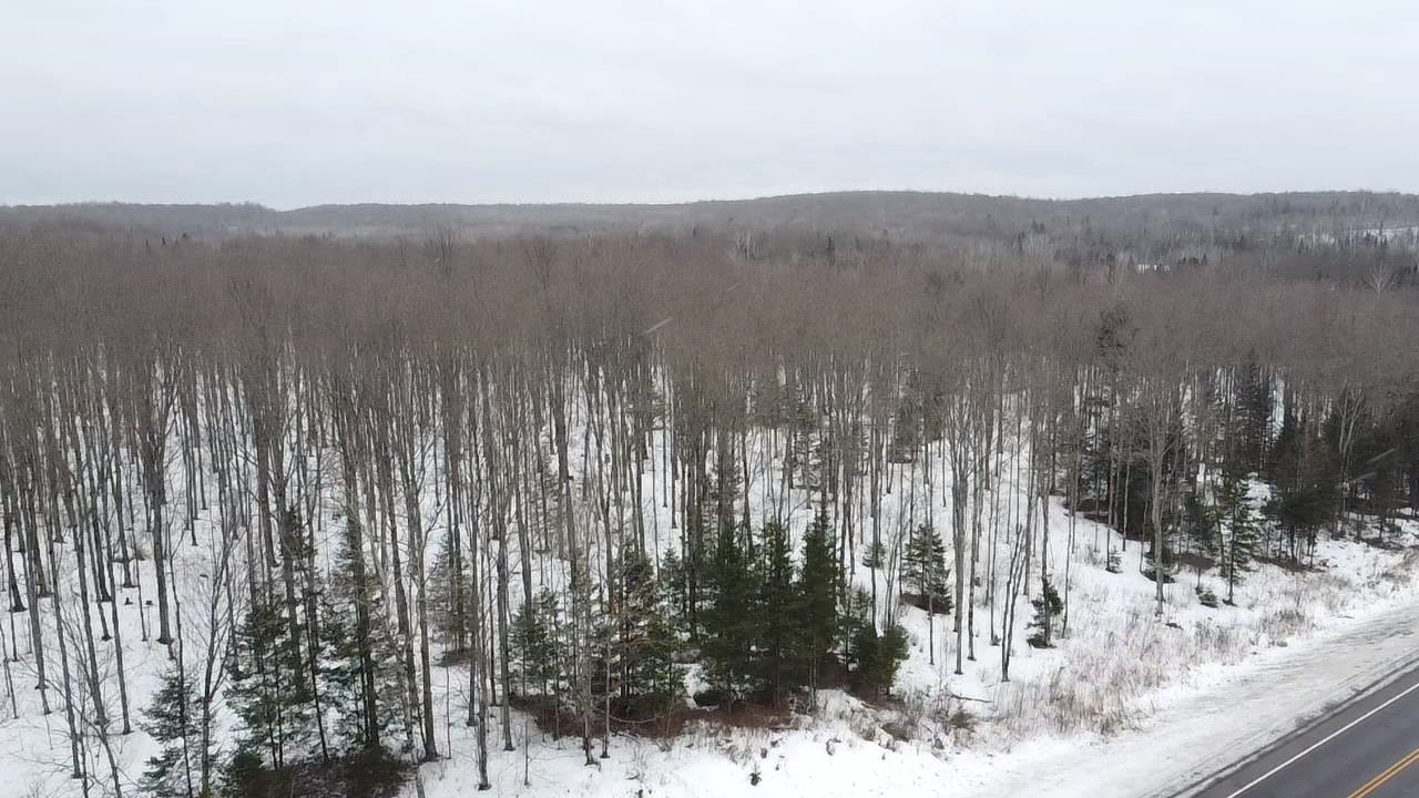 70 Hwy Tipler Wi 54542, Unit 2 Long Lake, WI 54542 - Photo 15 of 26