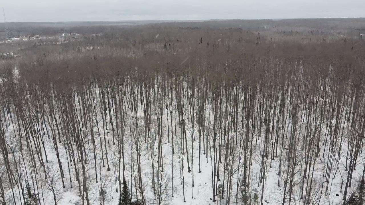 70 Hwy Tipler Wi 54542, Unit 2 Long Lake, WI 54542 - Photo 16 of 26