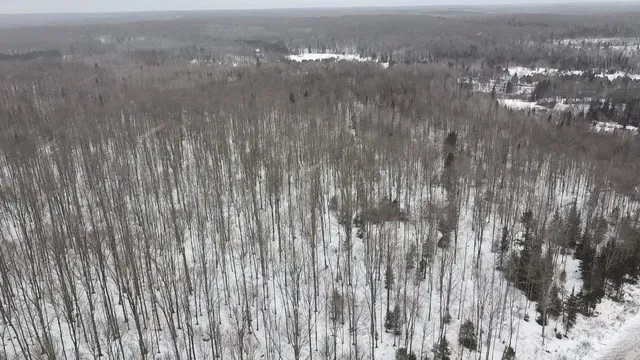 $84,628 | 70 Hwy Tipler Wi 54542, Unit 2, Long Lake, WI 54542