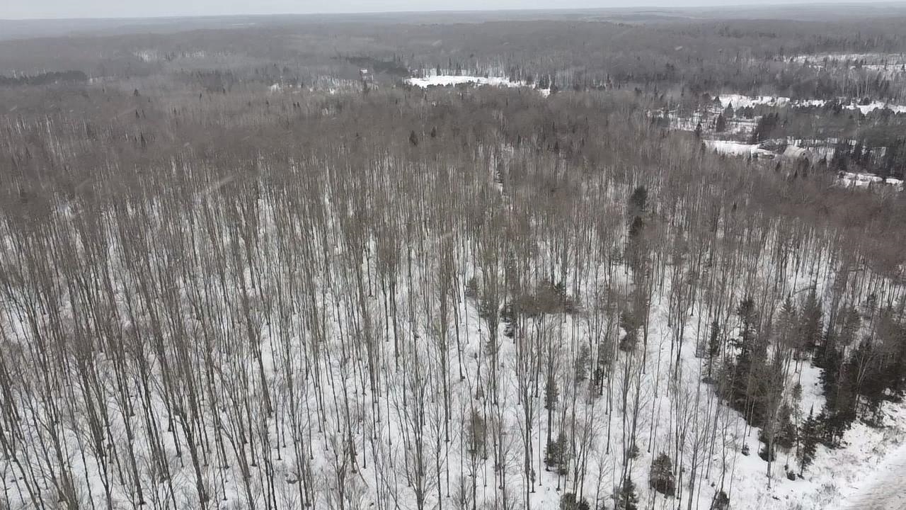 70 Hwy Tipler Wi 54542, Unit 2 Long Lake, WI 54542 - Photo 18 of 26