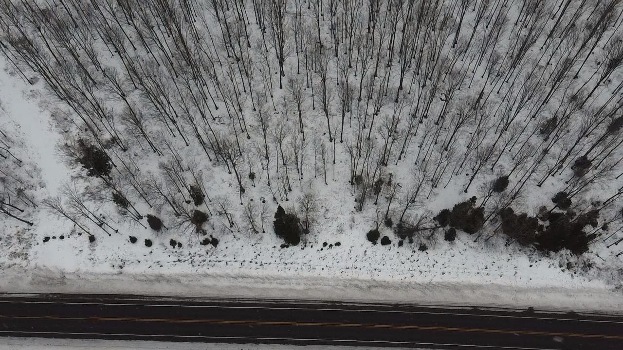 70 Hwy Tipler Wi 54542, Unit 2 Long Lake, WI 54542 - Photo 21 of 26