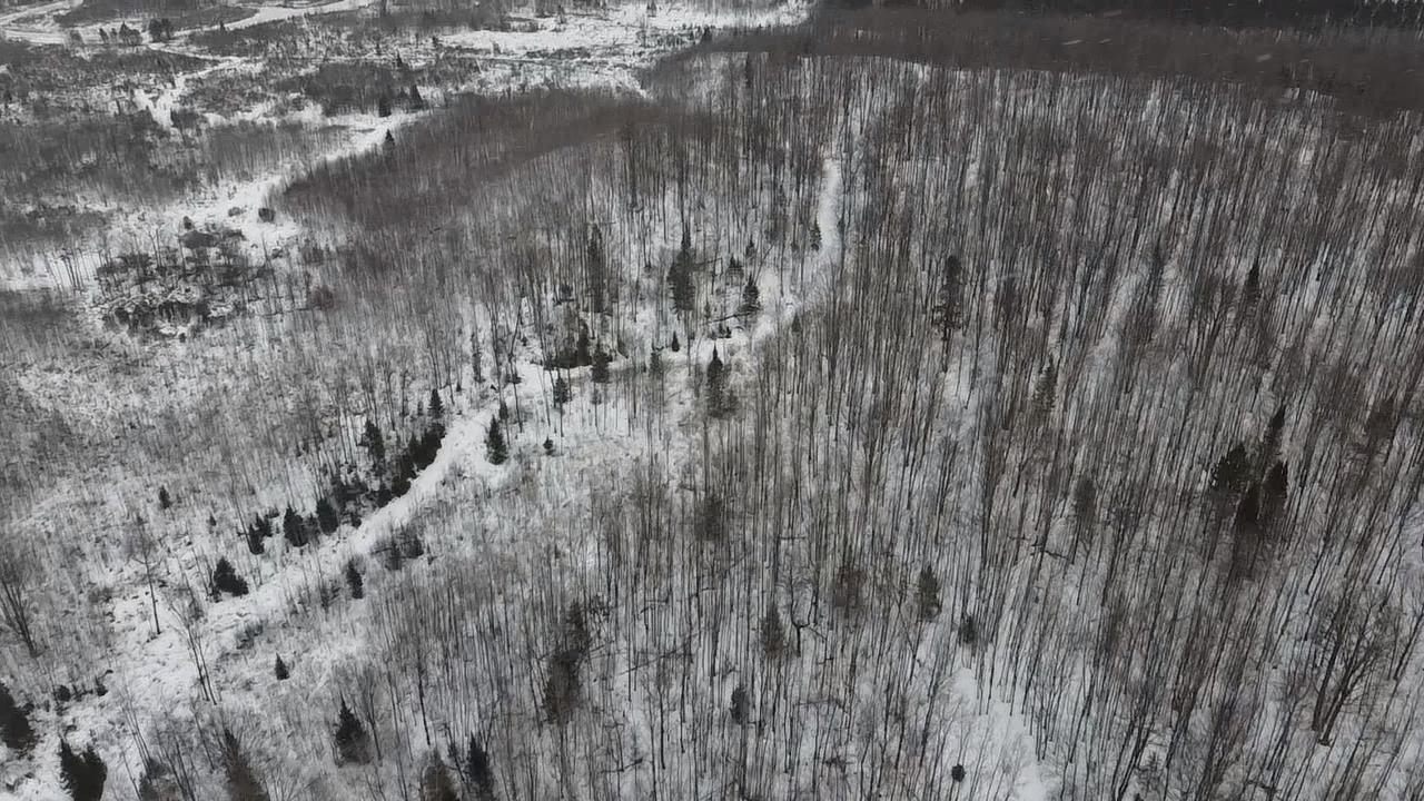 70 Hwy Tipler Wi 54542, Unit 2 Long Lake, WI 54542 - Photo 22 of 26