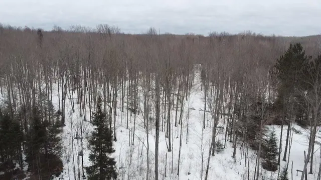 $84,628 | 70 Hwy Tipler Wi 54542, Unit 2, Long Lake, WI 54542