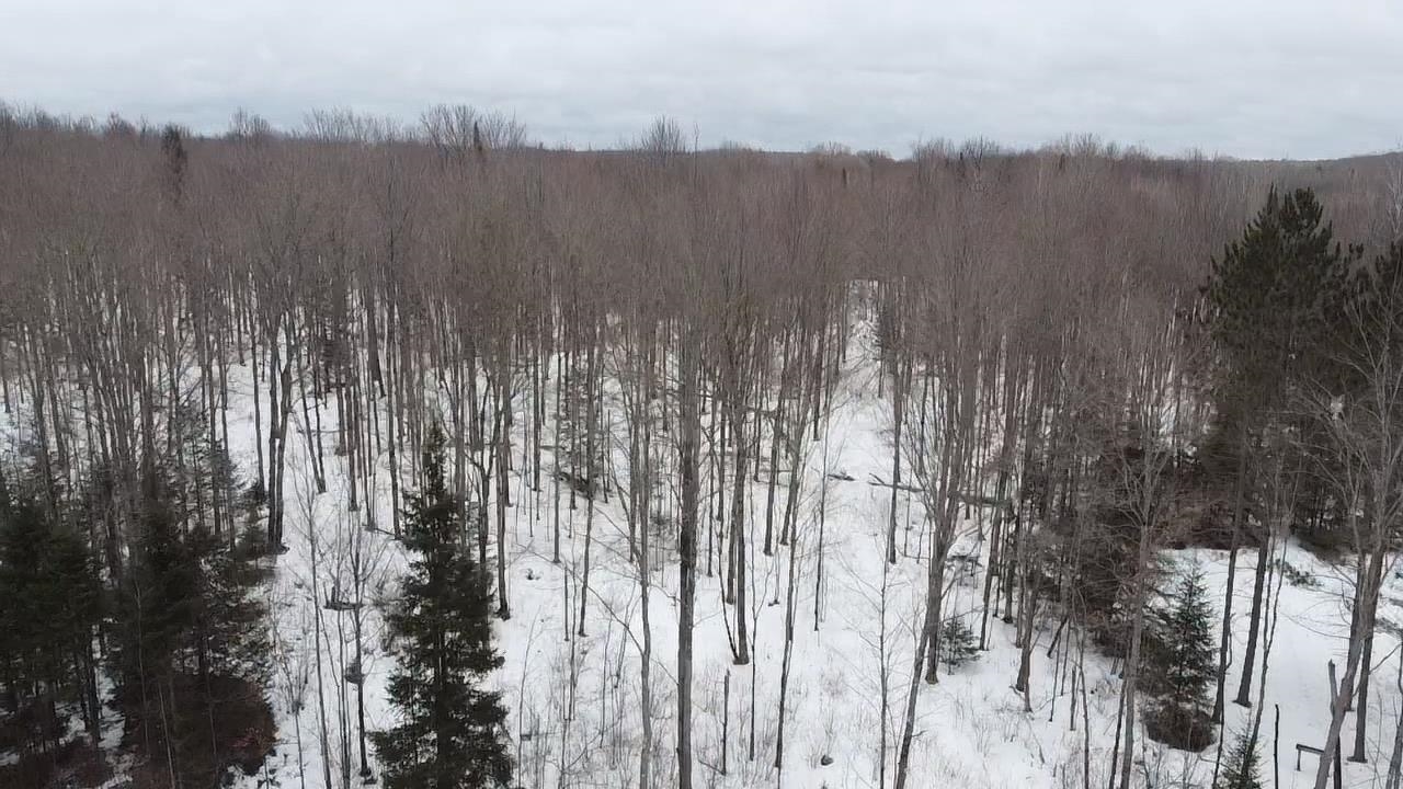 70 Hwy Tipler Wi 54542, Unit 2 Long Lake, WI 54542 - Photo 24 of 26