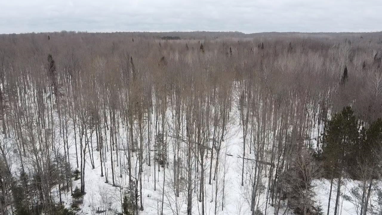 70 Hwy Tipler Wi 54542, Unit 2 Long Lake, WI 54542 - Photo 25 of 26