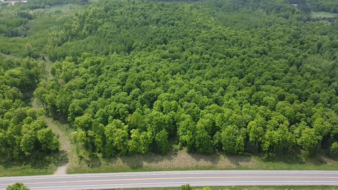 70 Hwy Tipler Wi 54542, Unit 2 Long Lake, WI 54542 - Photo 3 of 26