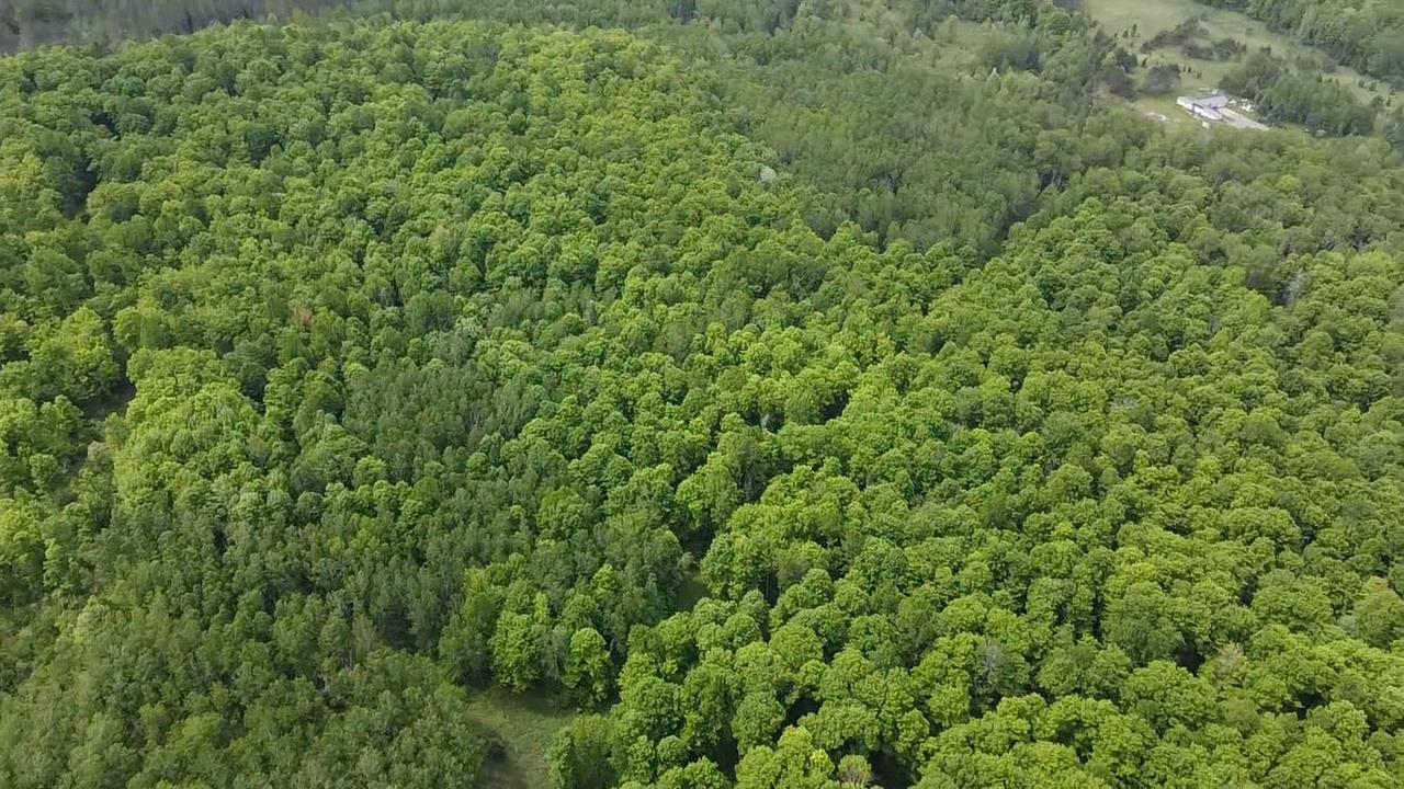 70 Hwy Tipler Wi 54542, Unit 2 Long Lake, WI 54542 - Photo 8 of 26