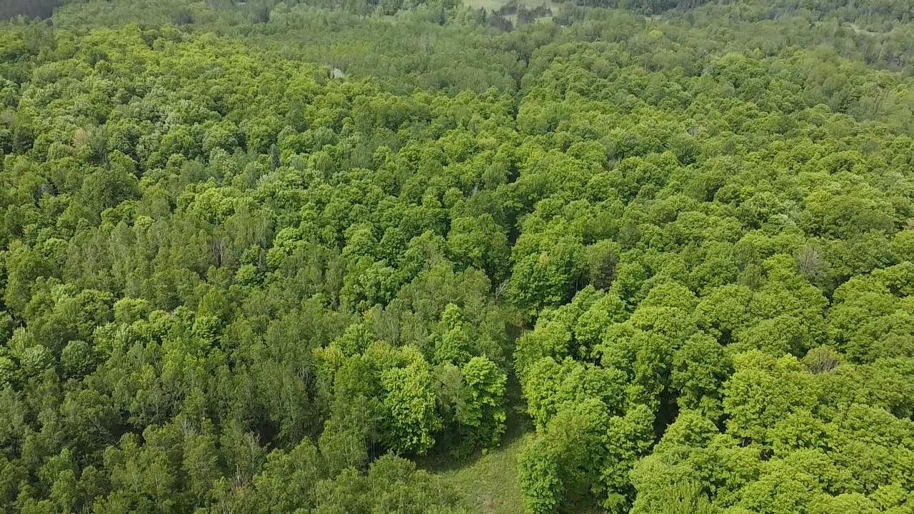 70 Hwy Tipler Wi 54542, Unit 2 Long Lake, WI 54542 - Photo 9 of 26